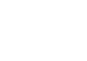 heraldo de aragón